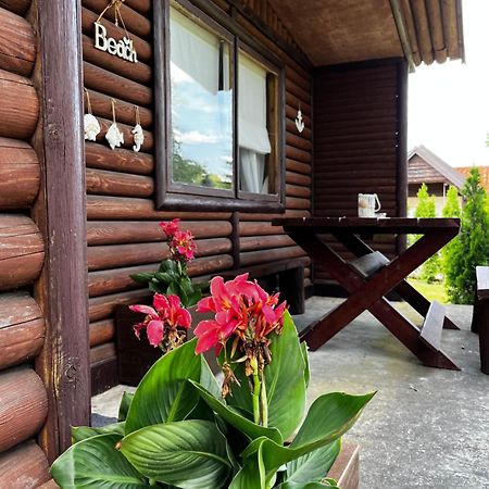 Villa Dom Pod Dlugim Wioslem à Wiartel Extérieur photo