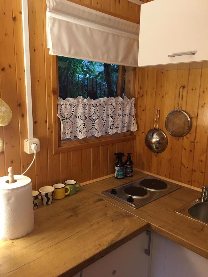Villa Dom Pod Dlugim Wioslem à Wiartel Extérieur photo