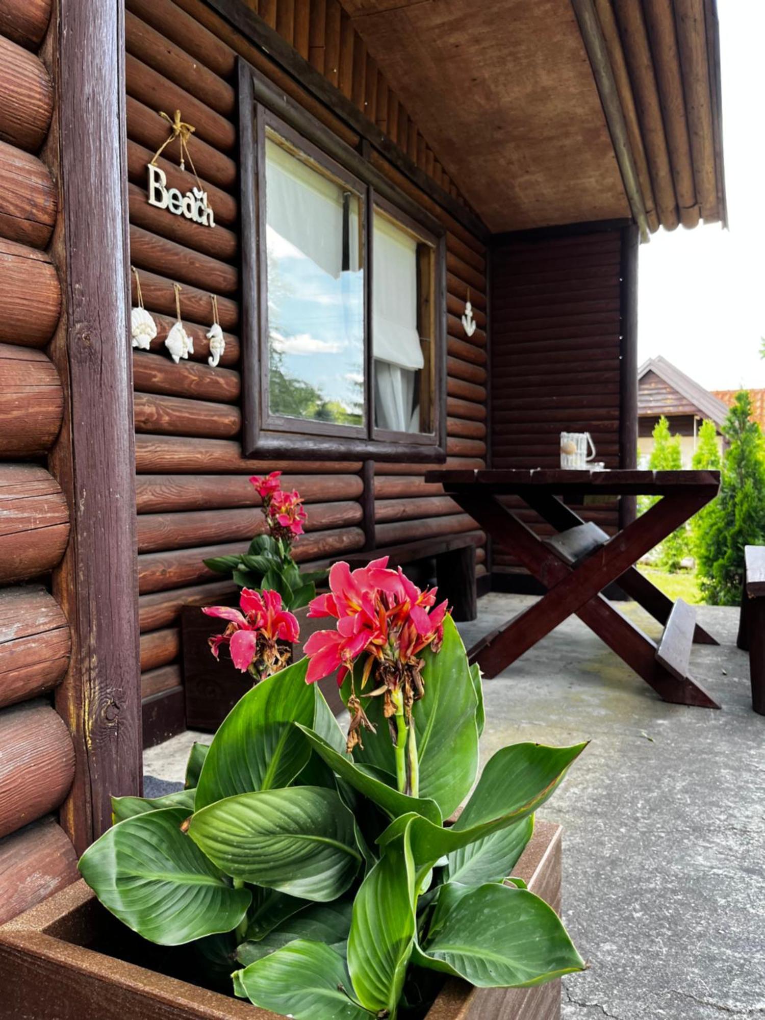 Villa Dom Pod Dlugim Wioslem à Wiartel Extérieur photo